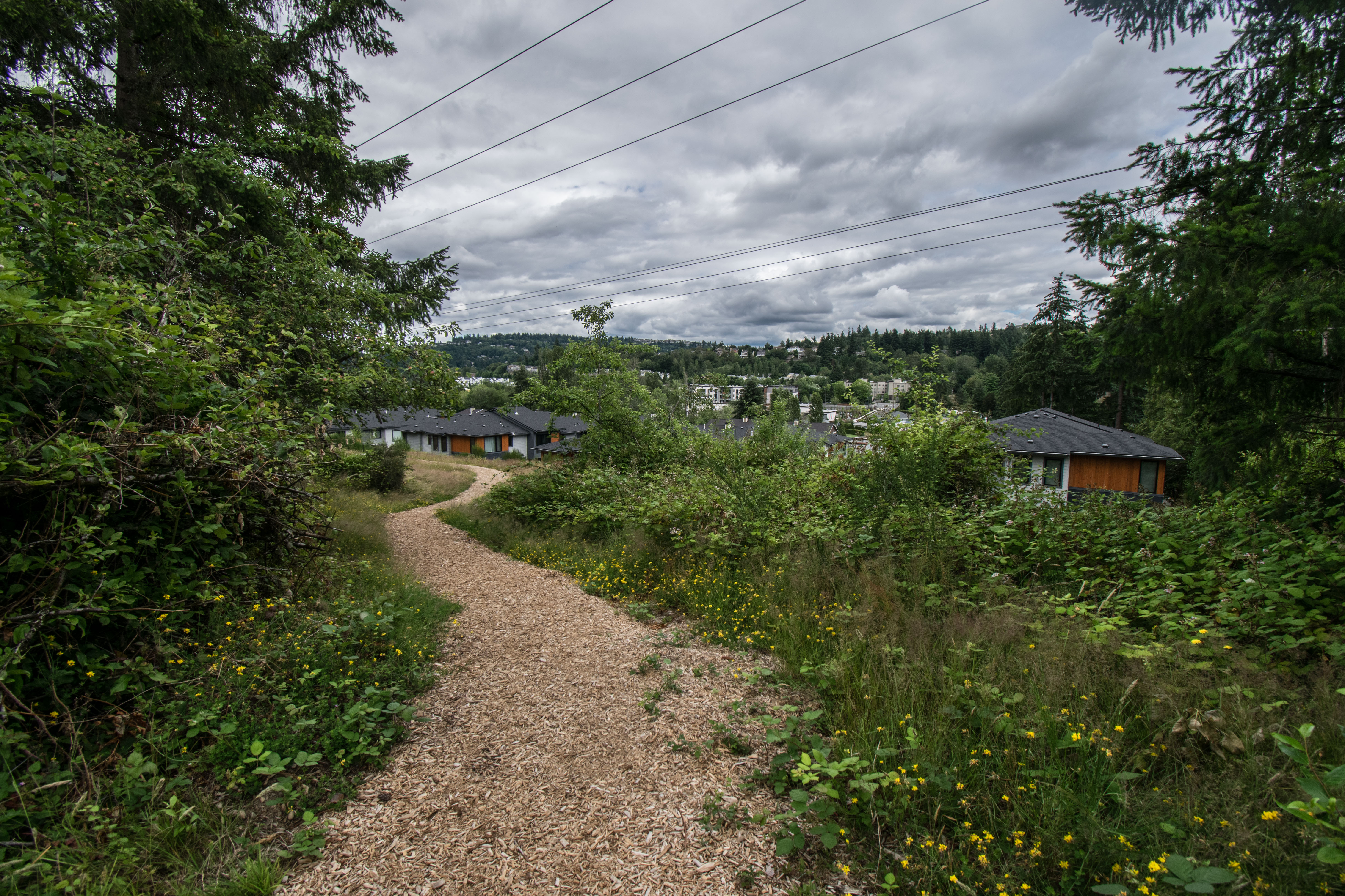 ../images/trails/china_creek//06 Trail northbound above Lakehouse.jpg